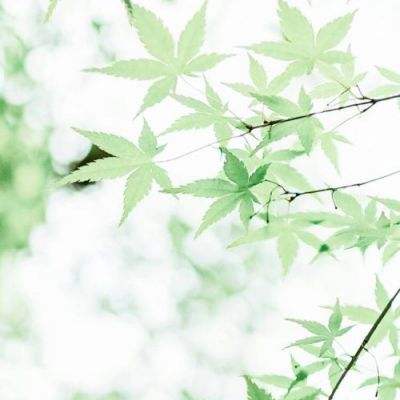 cf手游先遣服官方版下载