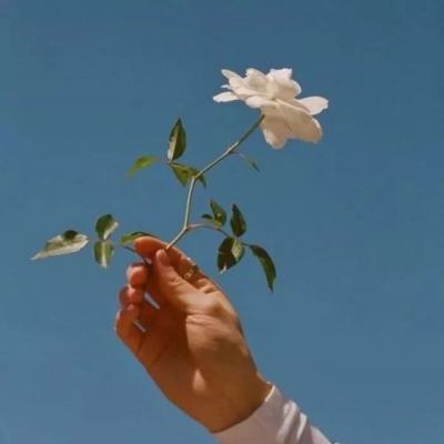 中国驻福冈总领馆举办二十四节气文化交流活动